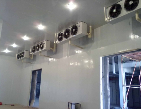 Fruit Cold Storage Room for Sale in Uzbekistan