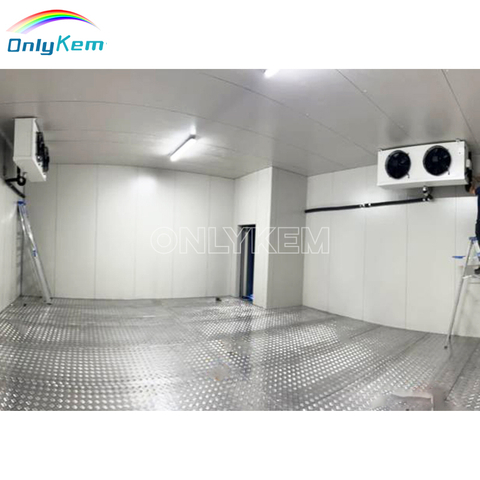 Freezer Room Walk In Cooler Cold Storage Room Price
