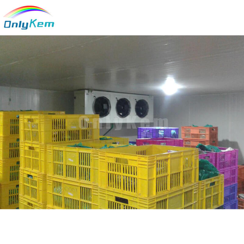 6 ton Freezer Cold Room Storage Walk In Freezer Chiller Room For Meat