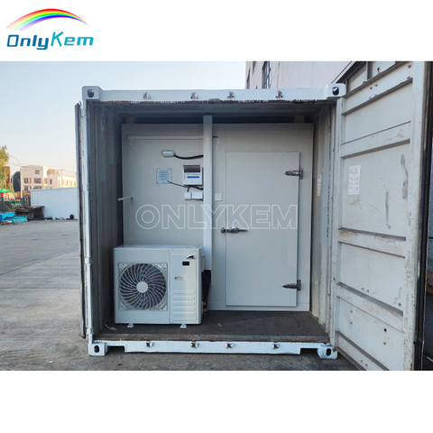 20ft and 40ft Reefer Freezer Container Cold Room