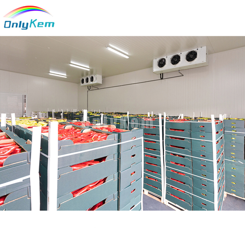 Walk In Freezer Room For Ice Cream