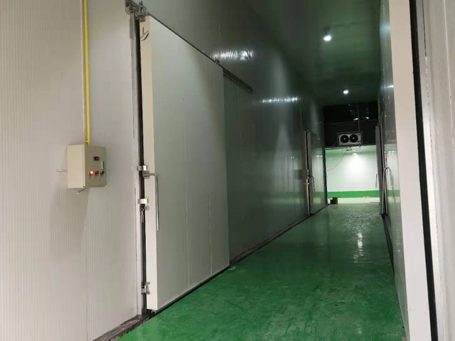 Vegetable Cold Rooms in Singapore