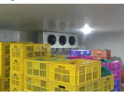 Walk in Refrigerator Freezer Cold Storage Room for Fish