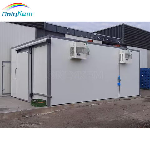 Walk In Cold Storage Chiller Room Freezer Cold Room