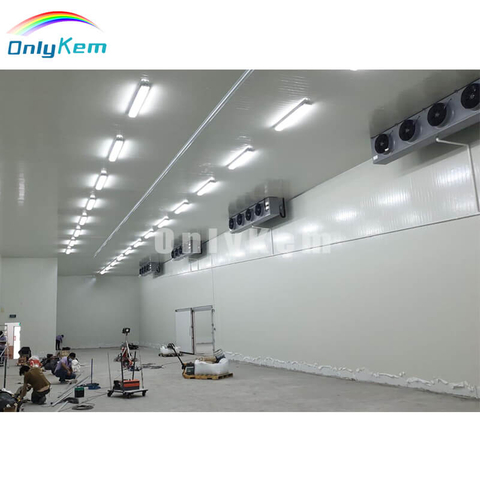 Design Potato Chiller Room Fruit Cold Storage Logistics Large Cold Storage