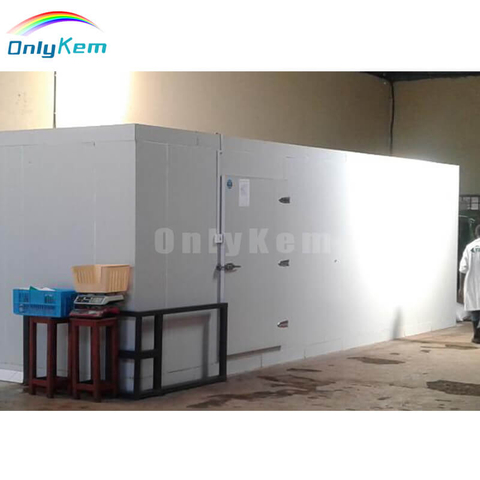 6 ton Freezer Cold Room Storage Walk In Freezer Chiller Room For Meat