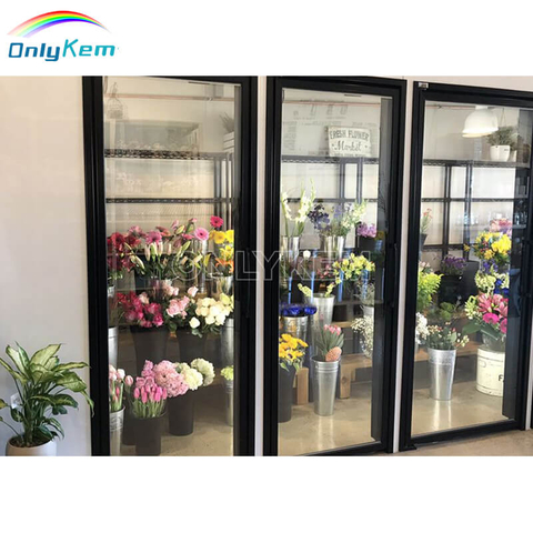 Custom Display Walk in Floral Cooler Glass Door Cold Room