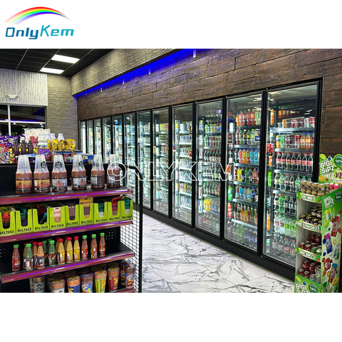 Display Walk in Cooler Glass Door Cold Storage Room