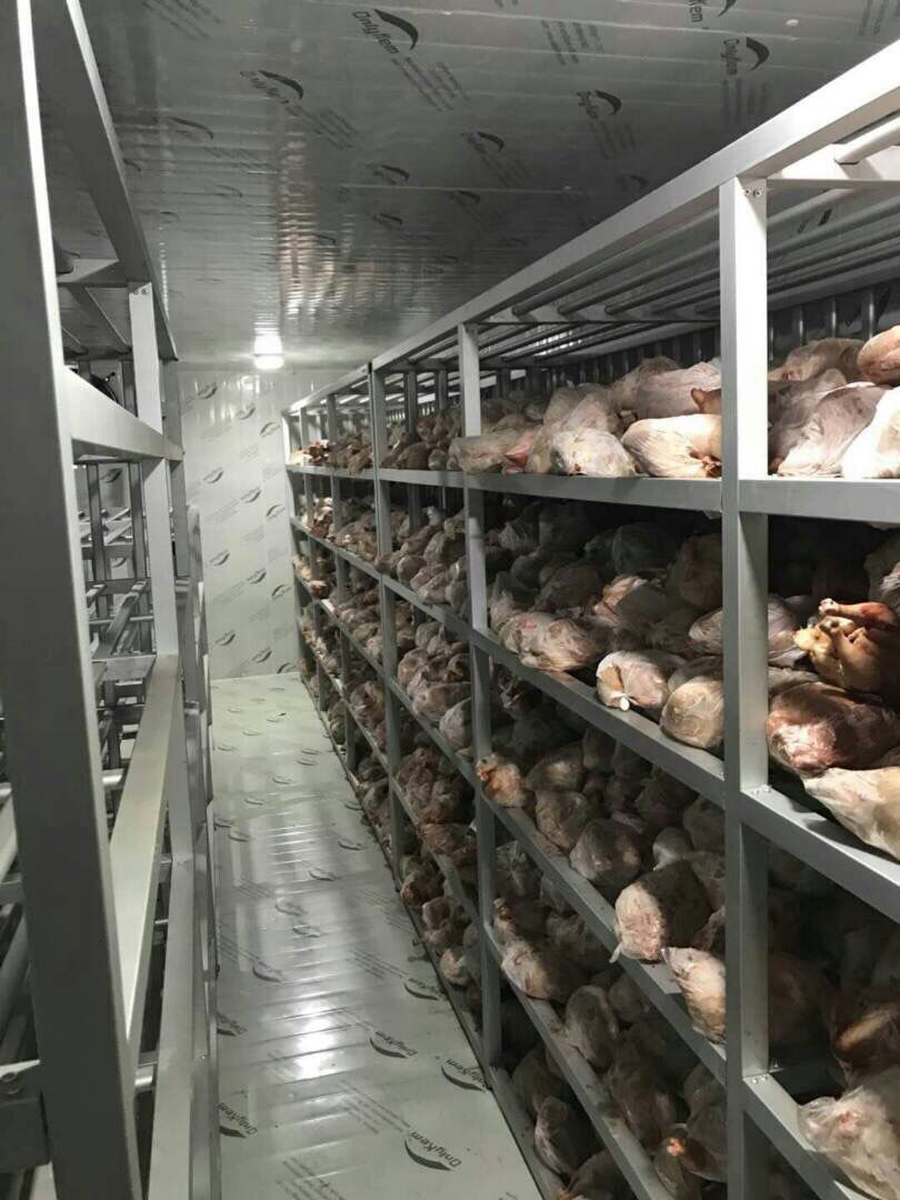 Benin Customer Project: 8 x 6 x 2.5 m Chicken Freezer Room with Organized Rack Storage